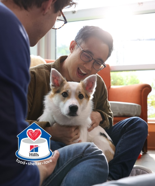 Happy man with a dog